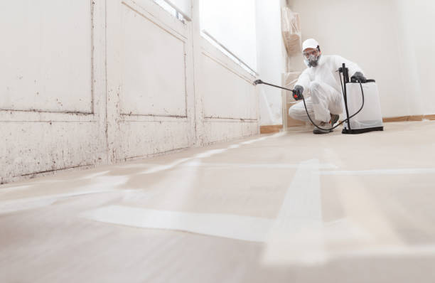 24/7 Emergency Attic Mold Removal experts in Ridgefield, NJ